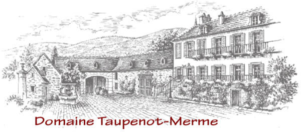 Domaine Taupenot-Merme